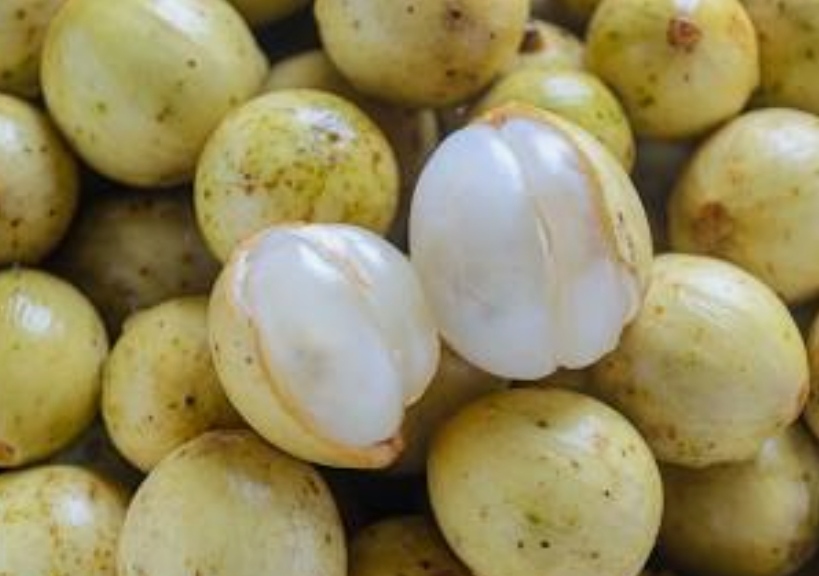 5 Manfaat Buah Duku untuk Kesehatan, Cegah Kanker Hingga Obat Anti Malaria